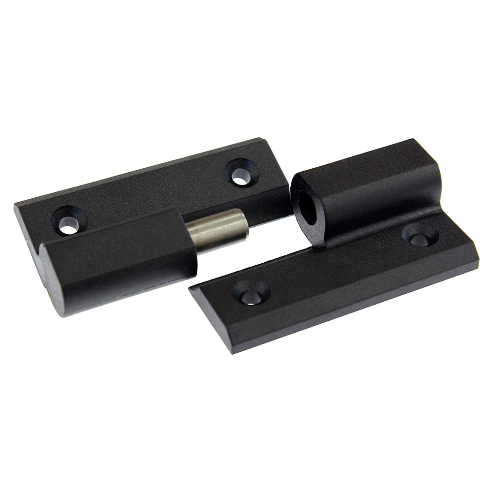Lift off moulded hinge
